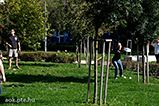 DSCF0038.jpg