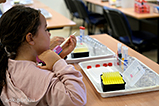 DSCF0223.jpg