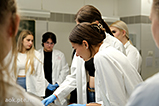 DSCF0281.jpg