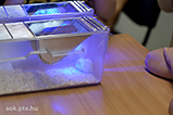 DSCF0315.jpg