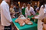 DSCF0380.jpg