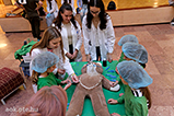 DSCF0395.jpg