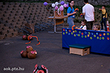 DSCF0451.jpg
