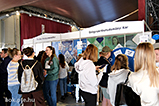 DSCF0953.jpg