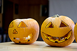DSCF1105.jpg