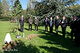 DSCF2226.jpg