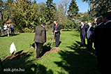 DSCF2231.jpg