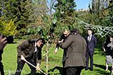 DSCF2236.jpg