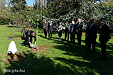 DSCF2238.jpg