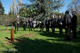 DSCF2242.jpg