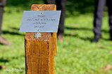 DSCF2247.jpg