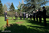 DSCF2249.jpg