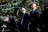 DSCF2250.jpg