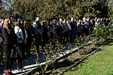 DSCF2251.jpg