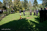 DSCF2253.jpg