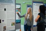 20241010_wb_expo_179_kerekes.jpg