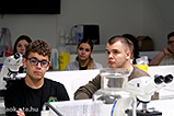 DSCF2846.jpg