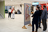 DSCF3142.jpg