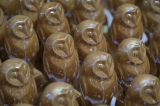 dscf4900.jpg