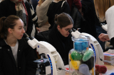 dscf5515.jpg