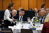DSCF6242.jpg