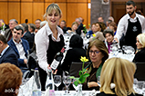 DSCF6253.jpg