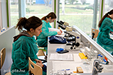 DSCF7184.jpg