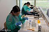 DSCF7190.jpg