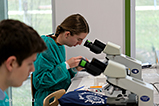 DSCF7197.jpg
