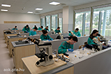 DSCF7221.jpg