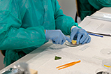 DSCF7230.jpg