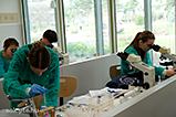 DSCF7231.jpg