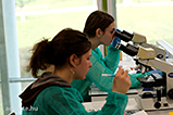 DSCF7233.jpg