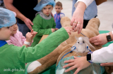 dscf7451.jpg