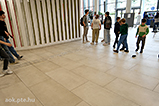 DSCF7783.jpg