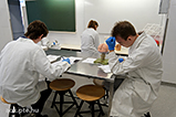 DSCF8777.jpg