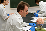 DSCF8784.jpg
