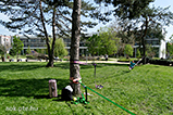 DSCF0034.jpg