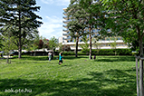 DSCF0052.jpg