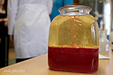 DSCF0266.jpg