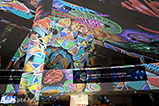 DSCF0954.jpg