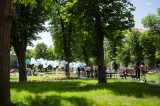 aok_parkavatas_20250519_045_kerekes.jpg