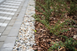 aok_parkavatas_20250519_093_kerekes.jpg