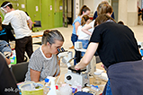 DSCF9264.jpg