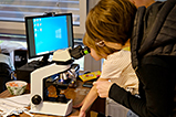 DSCF9313.jpg