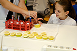 DSCF9330.jpg