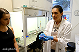 DSCF9390.jpg