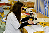 DSCF9401.jpg