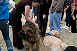 DSCF8287.jpg