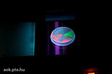 DSCF3699.jpg
